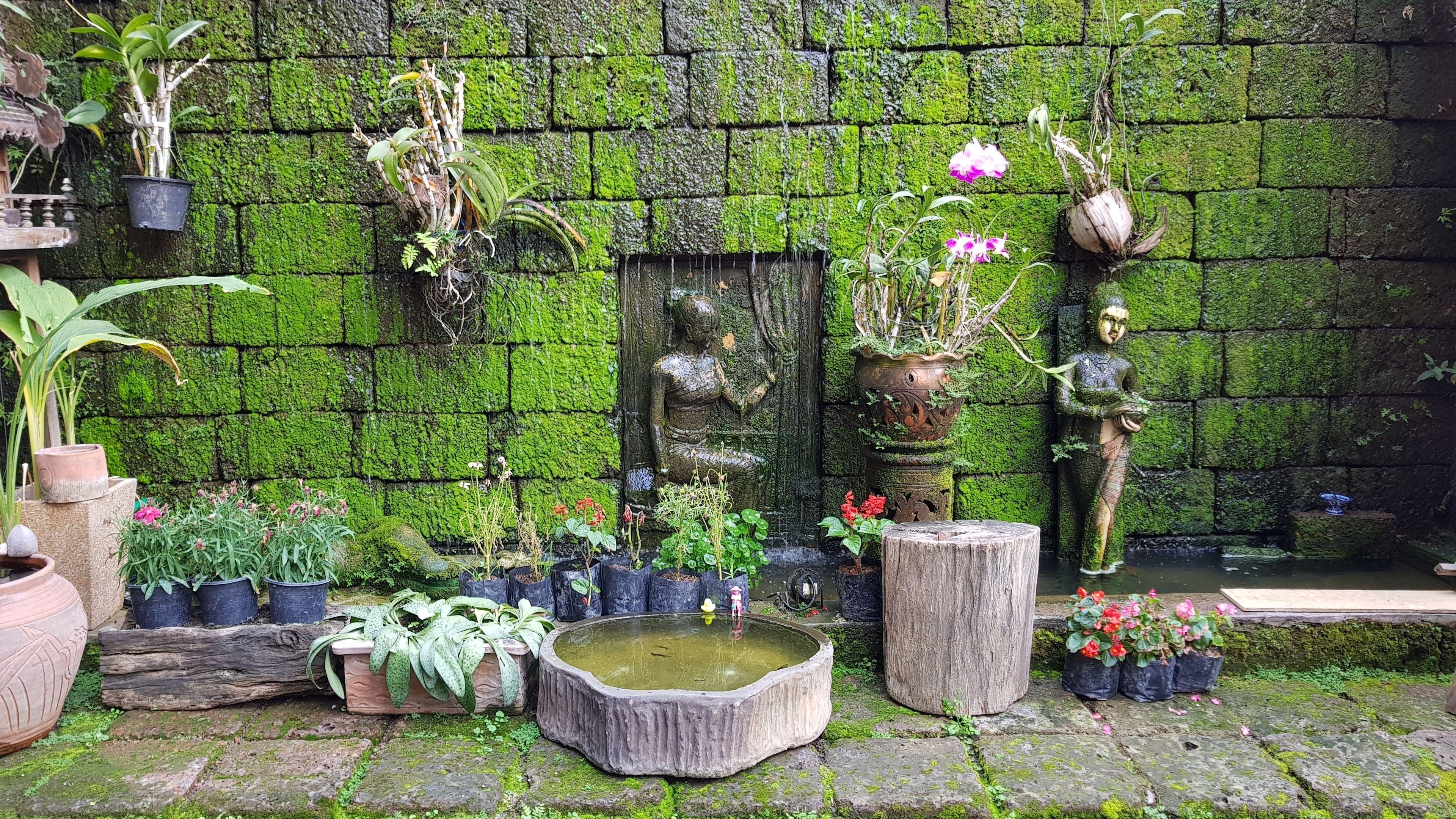 Chiangmai Tulip House And Massage - Hostel - Chiang Mai — Foto’s 1